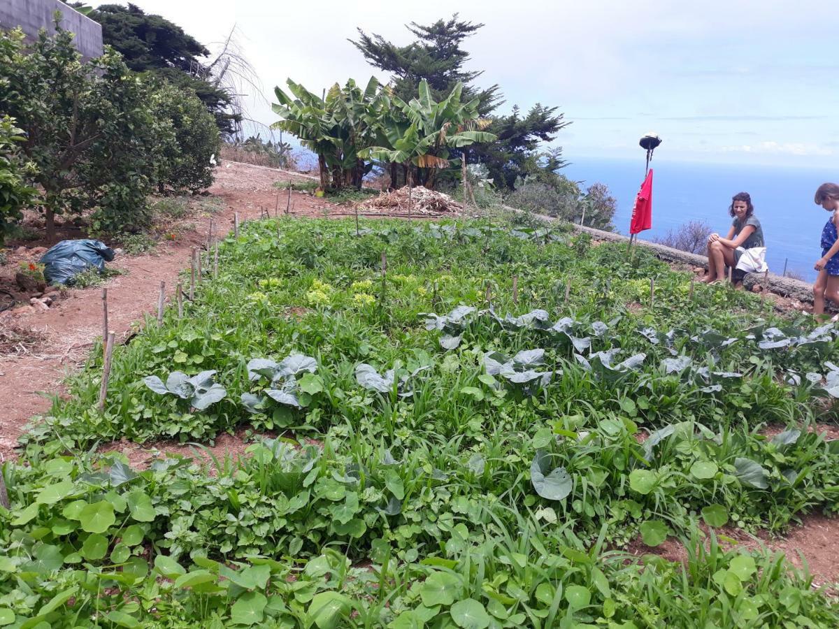 Casas En Finca Ecologica La Espiral, Naturaleza, Calma Y Vistas Al Mar, Icod el Alto Bagian luar foto